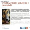 Patologia nie przebiera