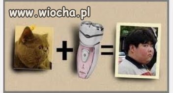 Bez tytułu
