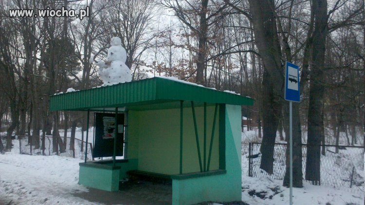 W oczekiwaniu na autobus