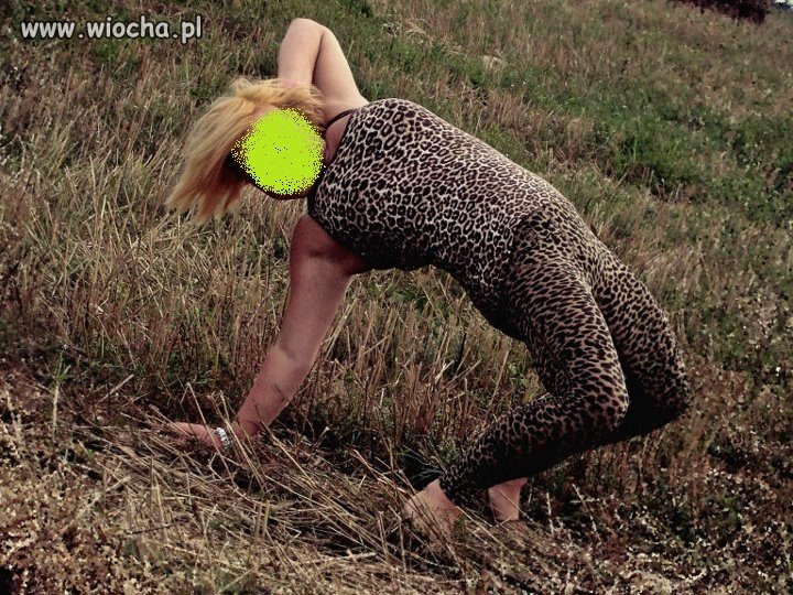 Niczym lew 