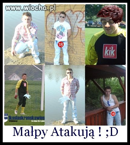 Precz z małpami ;p