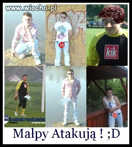 Precz z małpami ;p