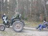 Kulig