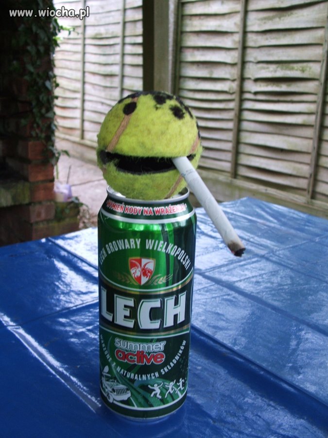 Lech na wakacjach