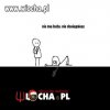 Nie ma bata
