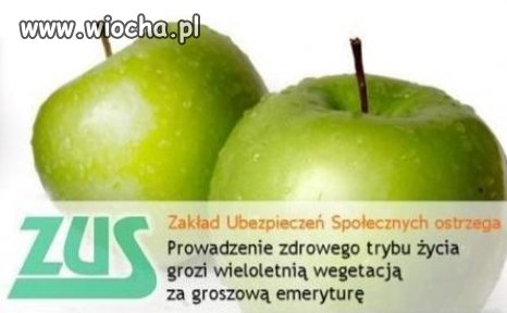 Rada Króla ZUS-a