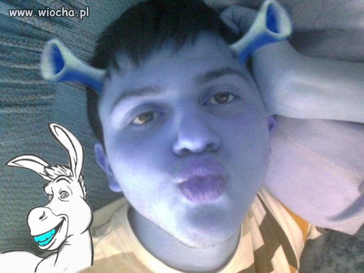 Shrek 4D