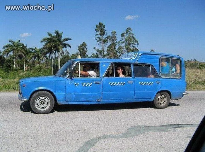 Nie tylko Polak potrafi
