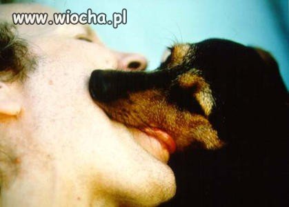 Namiętny pocałunek z moim kundelkiem...