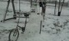 Pierwsza zima