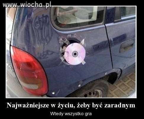 Zaradność