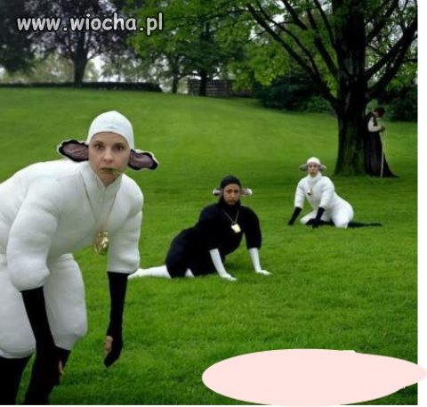 Owieczki - beee!