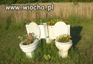 OGRÓDEK DOMOWY
