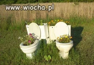 OGRÓDEK DOMOWY