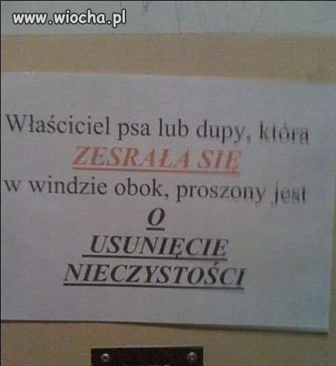 Nieczystość w polskiej windzie / takie rzeczy...