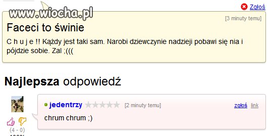 Świnie...