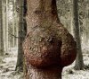 Niespodziewany widok..