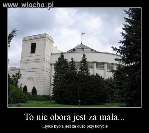 Najlepiej podłożyc bombę albo wysłać całe 
