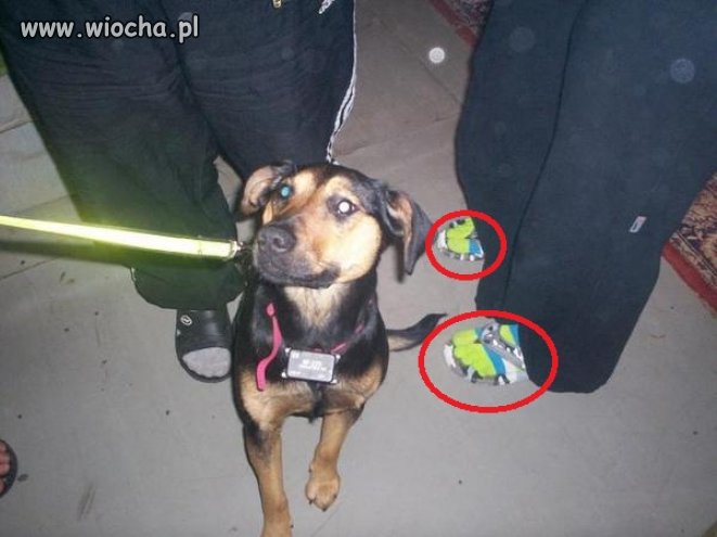 Nowa moda
