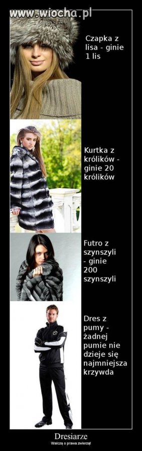Dresiarze, zawsze pomocni...