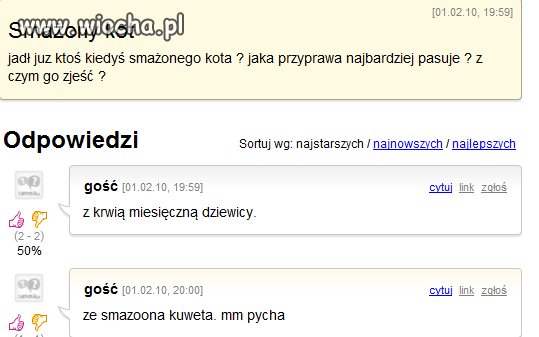 Kotek