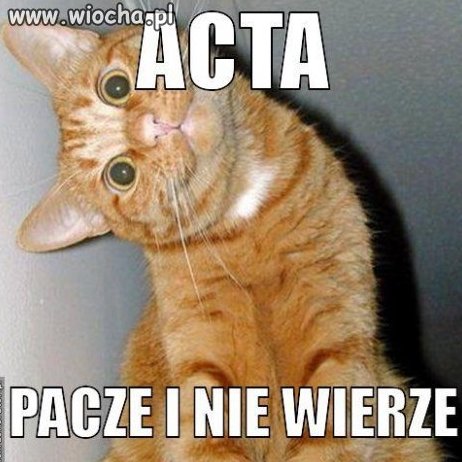 Acta