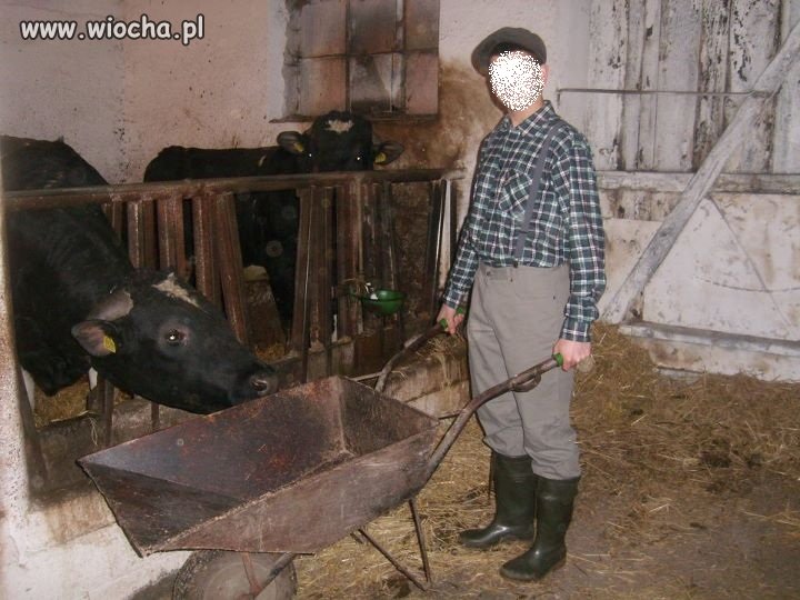 Lans na taczkę (szkoda że nie różową) 