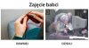 Postęp goni postęp