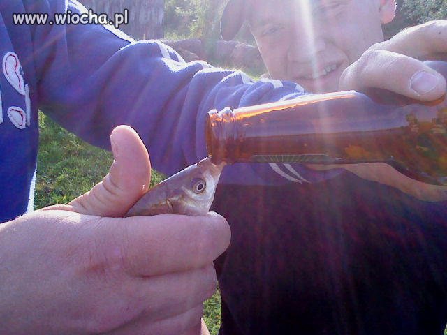 Kto jest większym idiotą ten co męczy rybę,