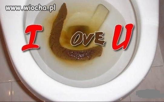 Fekalistyczne pozdrowienia z otchlani sedesu