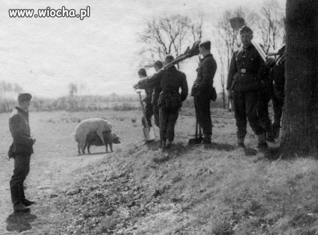 Z żołnierskimi pozdrowieniami...