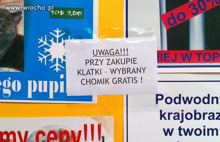 Poszanowanie życia w naszym kraju