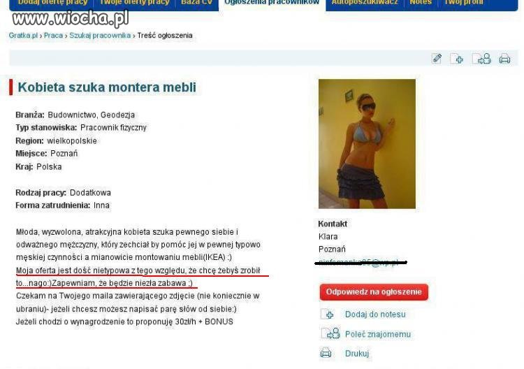Ciekawa oferta pracy 