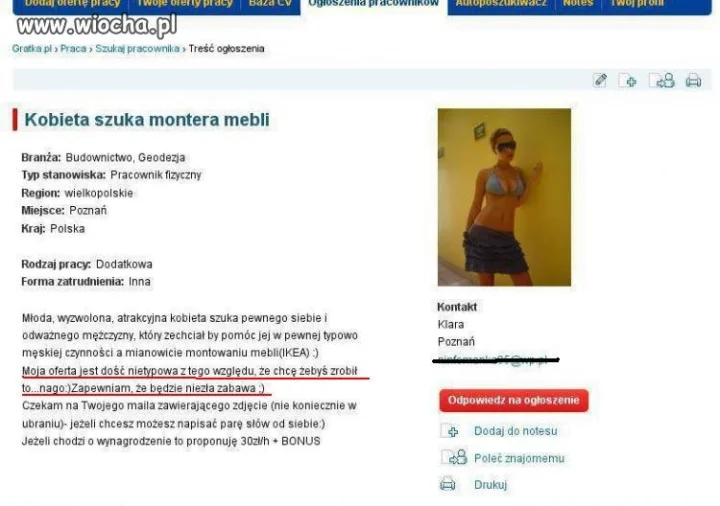 Ciekawa oferta pracy 