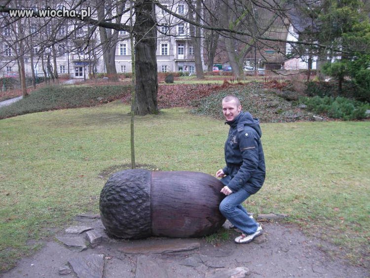 PONIOSŁO KOLESIA