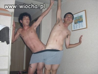 bracia sjamscy