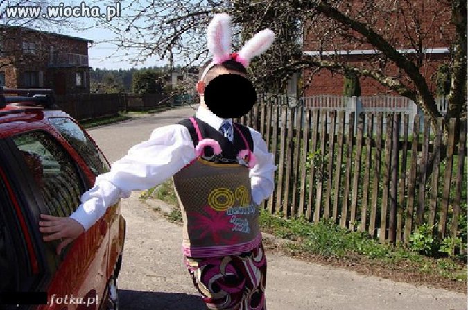 Króliczek playboya.