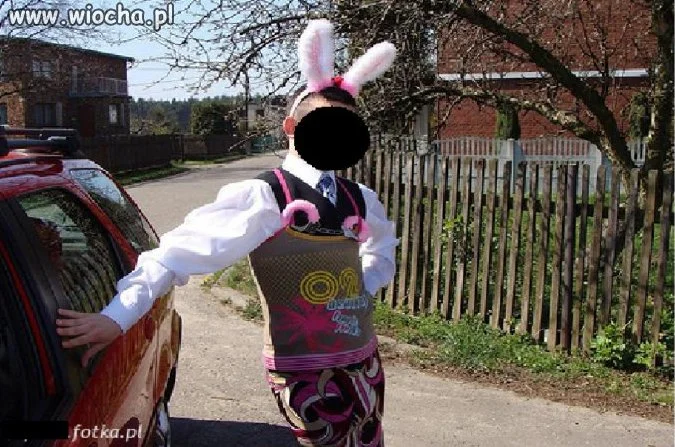 Króliczek playboya.