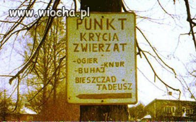 Co kto lubi...