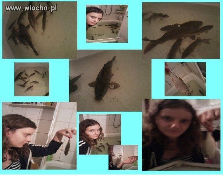 Takie tam z karpiami