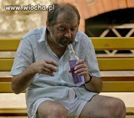 Ooo kur...a! Mucha wpadła i się nie rusza.