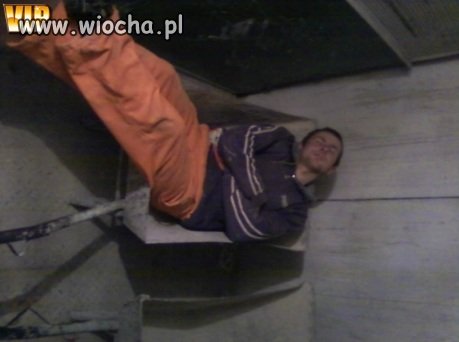 Takie tam w taczce