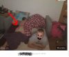 Fotka.tv 
