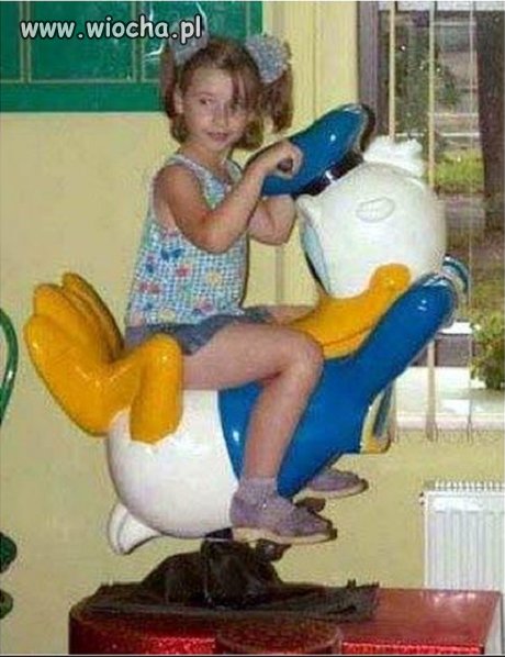 Kaczor Donald