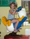 Kaczor Donald