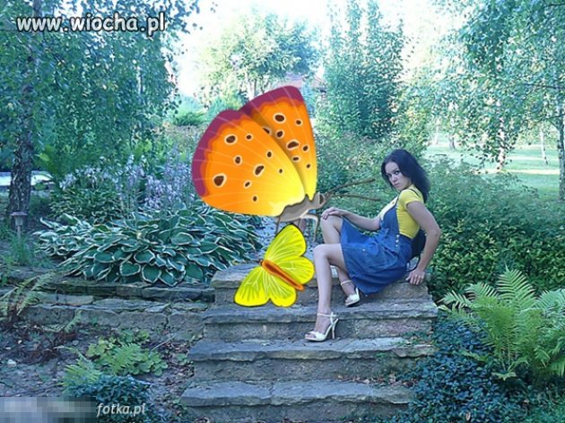 Alicja w krainie