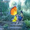 Alicja w krainie