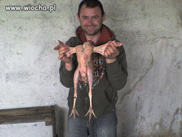 Trzeba mieć w głowie nieźle...