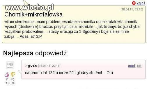 Chomik + mikrofalówka 