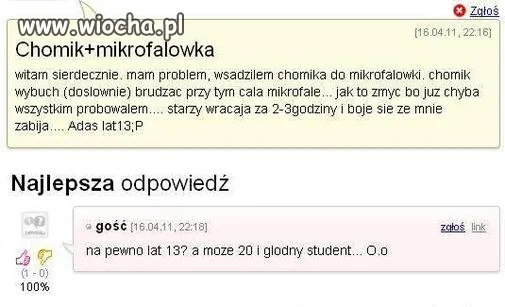 Chomik + mikrofalówka 